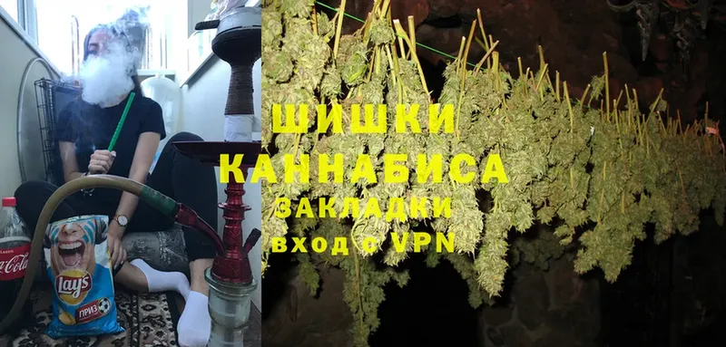 Конопля Bruce Banner  Мурино 